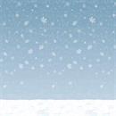 Insta-Theme Winter Sky Backdrop