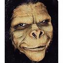 Monkey Accessories & Makeup