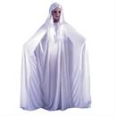 Adult Gossamer Ghost Costume