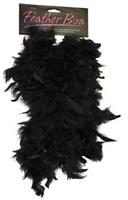 Boa 5Ft Black Feather