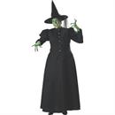 Witch Costume