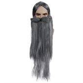 WIZARD WIG BEARD SET GY