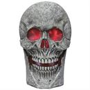 Skull With Light Sound