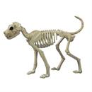 Brutus Bonez Skeleton