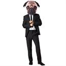 Dog Hats, Wigs & Masks