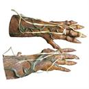 Pumpkin Rot Hands