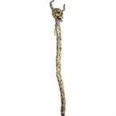 CROSIER TOTEM