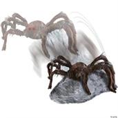 JUMPING SPIDER BROWN